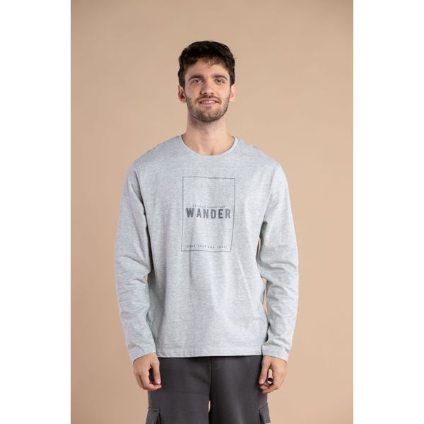 REMERA ESTAMPA WANDER GRIS CLARO